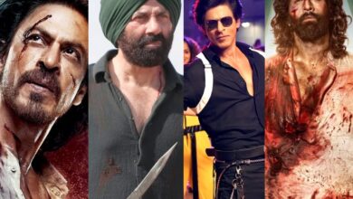 Top 4 fastest Bollywood films to enter Rs 500 crore club