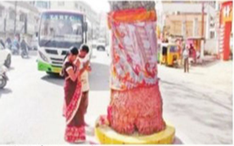 Hyderabad: Tree on road becomes worship place, tension may trigger