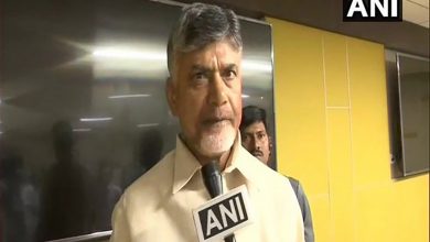 TDP wants BCs to flourish in politics, says Chandrababu