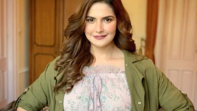 Zareen Khan wants to do much more than look 'hot' in films