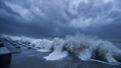 Cyclone won't make landfall in Odisha or AP but move parallel to coast: IMD