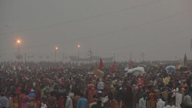 In Pics: Makar Sankranti festival