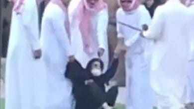 Video: Police assault women at orphanage in Saudi Arabia