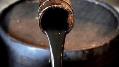 Demand for Russian crude rises in India, China: Reports