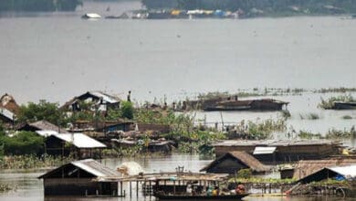 Flood situation improves in Assam, 50,836 people still hit