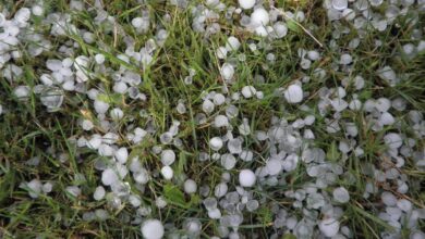 hailstorm in Telangana
