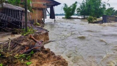 Assam flood situation grim, nearly 33,500 affected