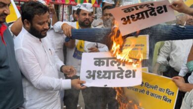 AAP takes to streets, burn effigies of Centre's ordinance