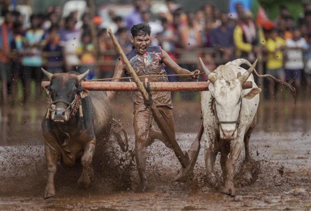 Nangrani festival in Ratnagiri