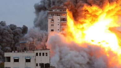 Over 300 Israelis, 256 Palestinians killed as war escalates