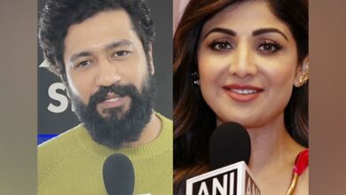 From Vicky Kaushal to Shilpa Shetty, celebs extend Diwali wishes to fans