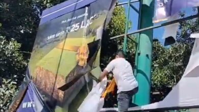 Bengaluru: Pro Kannada outfits defaced signboards using for not using Kannada