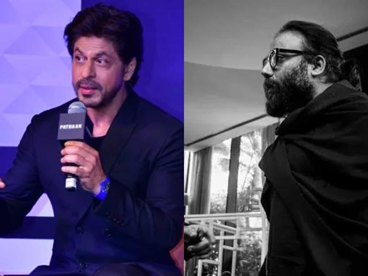 Exclusive: SRK, Sandeep Vanga's movie collaboration, true or fake?
