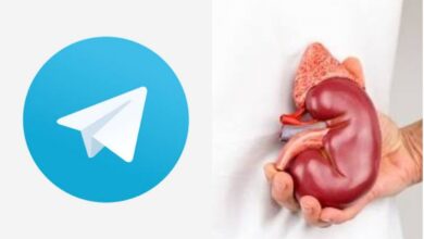 Telangana CID busts kidney-selling racket on Telegram