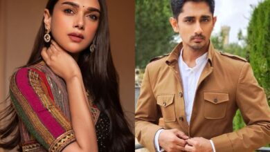 Here's Aditi Rao Hydari and Siddharth's combined net worth