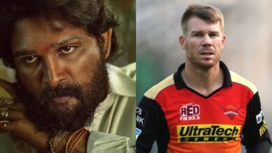 David Warner's surprise cameo in Allu Arjun's Pushpa 2?