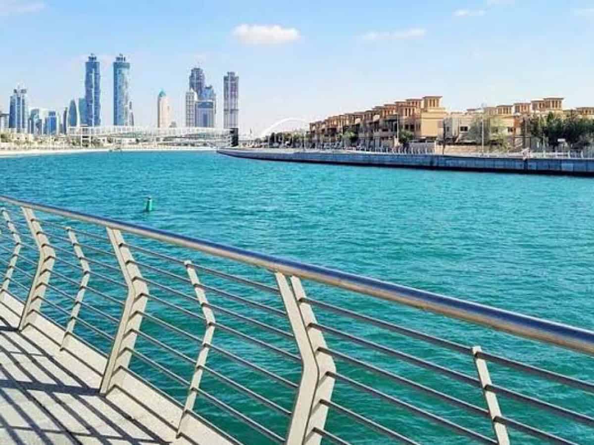 Dead fish spotted in Dubai water channels, municipality clarifies