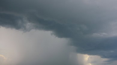 Rains with thunderstorms and strong winds lashed several parts of Siddipet, Nizamabad, Kamareddy, and Sangareddy districts; rendering the paddy brought by the farmers to paddy procurement centers (PPC) wet.