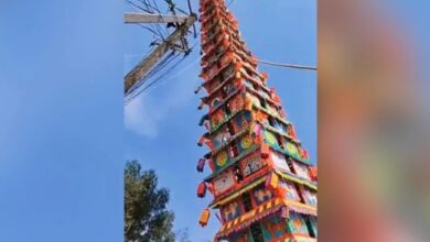 Watch: 120-foot-tall chariot collapses during festival in Bengaluru