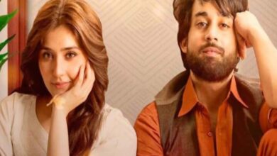 Viewers from India, Pakistani slam Ishq Murshid makers, know why