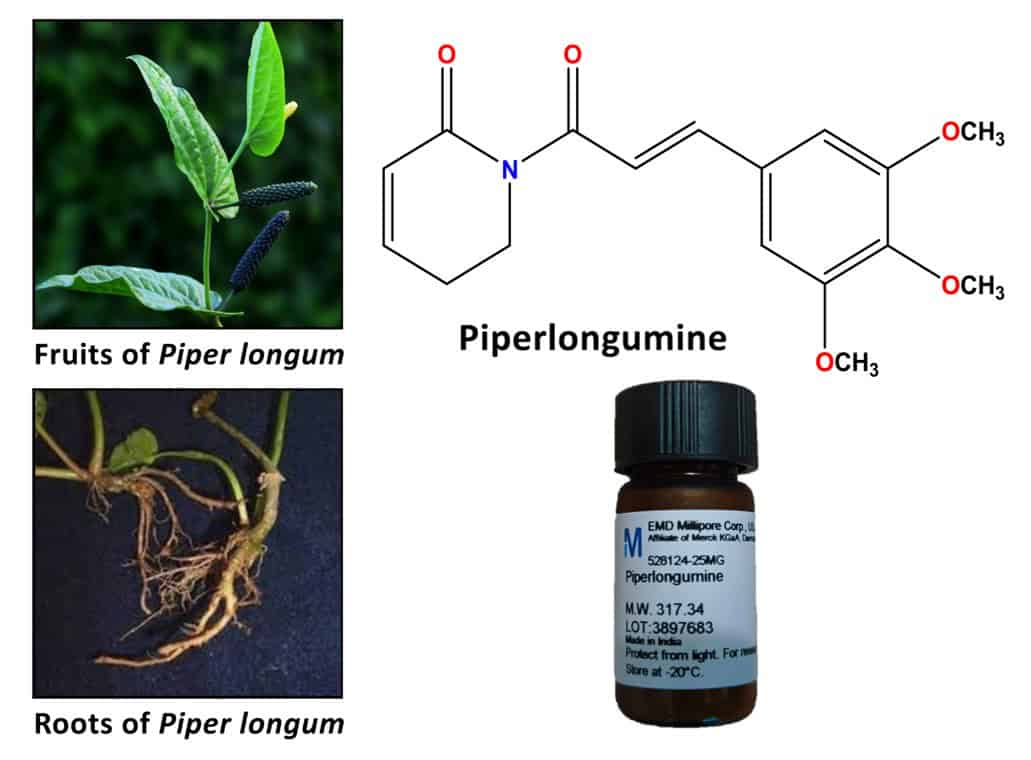 long pepper Piperlongumine colon cancer treatment