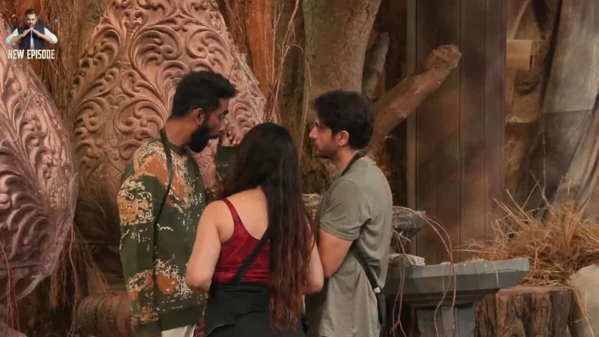 Bigg Boss 19 contestants