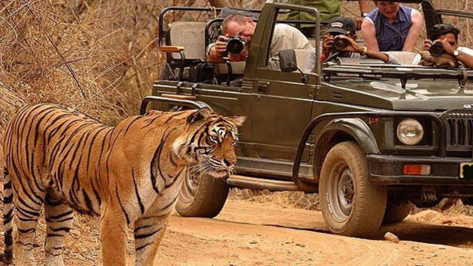Tadoba National Park in Maharashtra