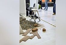 Robot dog SVAN-M2, by Kanpur-based startup xTerra Robotics, Indian Institute of Technology (IIT) Kanpur and L&T, at the AI Impact Summit 2026, in New Delhi. (Handout via PTI Photo)