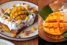 Delicious mango desserts served on plates, featuring fresh mango chunks and creamy toppings, perfect for.