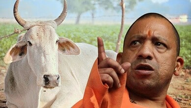 Man in orange robes pointing upward next to a white cow in a rural setting, India.