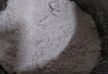 Maggot-infested rice in Jagtial school