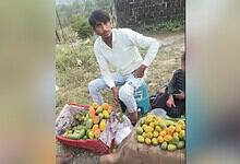 Young man selling mangoes on roadside in Uttarakhand, India.