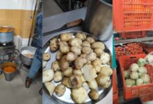 Vegetables with fungus, houseflies found at Kachiguda restaurant