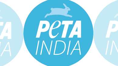 PETA India logo with a rabbit symbol and bold text on a blue background.