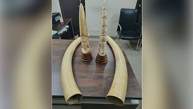 Traditional tribal musical instruments displayed on a table in an indoor setting.