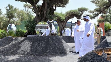 Dubai launches new strategy with 200 parks, women-only beaches