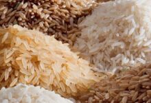 UAE announces temporary ban of rice exports, re-exports including India