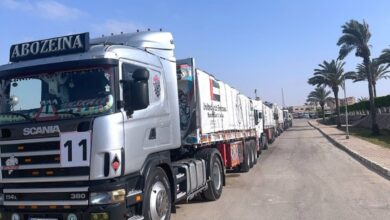 12-truck UAE aid convoy enters Gaza Strip