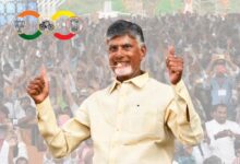 Tripartite alliance to sweep polls in Andhra Pradesh: Naidu