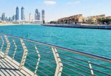 Dead fish spotted in Dubai water channels, municipality clarifies