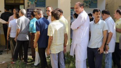 Jammu Kashmiri Pandits stand in a queue to cast their vote