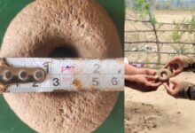 Archaeology enthusiasts have discovered a six thousand years old Neolithic stone ring in Bhupathipur village of Eturunagaram mandal in Mulugu district.
