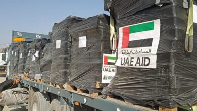 UAE delivers 400 tonnes of food aid to Gaza Strip