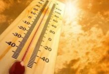 Telangana IMD issues health advisory amid ongoing heatwave