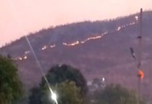 Wildfire breaks out in forest area