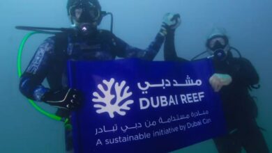 Watch: Sheikh Hamdan goes diving to launch Dubai Reef project