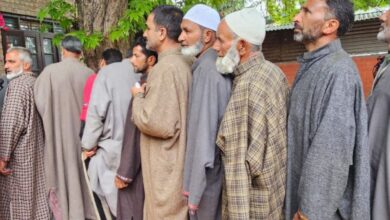 Voters line up outside polling stations in J&K's Srinagar LS seat