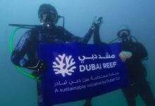 Watch: Sheikh Hamdan goes diving to launch Dubai Reef project