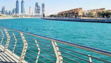 Dead fish spotted in Dubai water channels, municipality clarifies