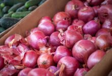 India bans onion exports till March 2024